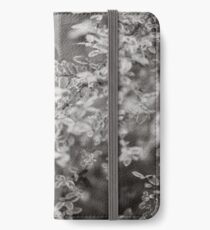Nerdy Payn iPhone Wallet/Case/Skin