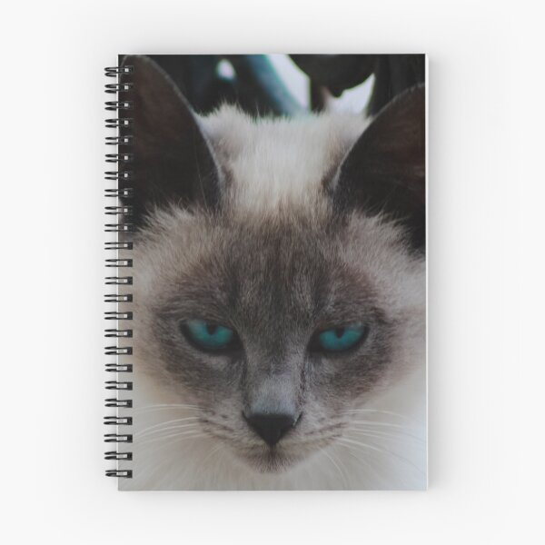 Item preview, Killer Look designed and sold by Hulya Yucel Designs.