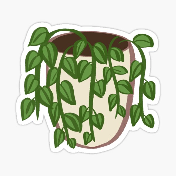 Vine Plant Stickers for Sale