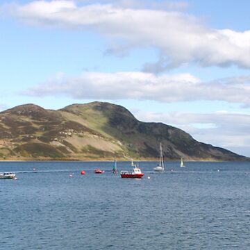 Artwork thumbnail, Holy Isle panorama by Fiona MacNab