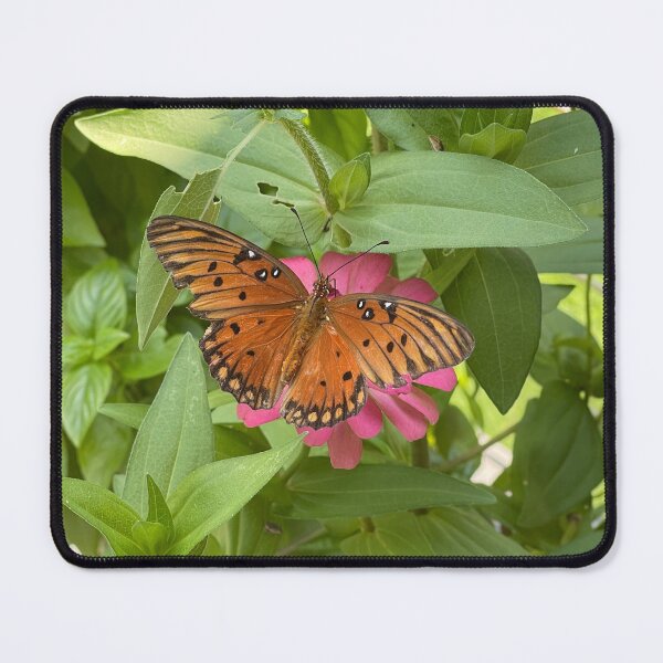 Item preview, Butterfly on Zinnia Flower designed and sold by Gsallicat.