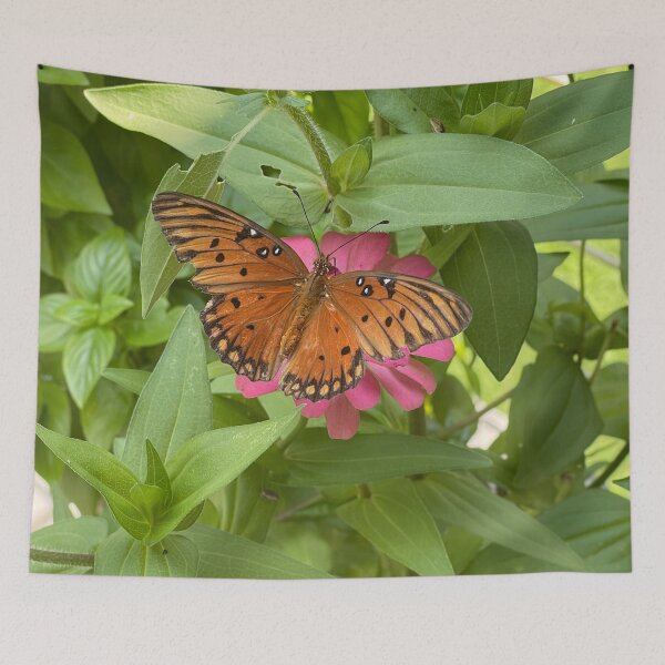 Item preview, Butterfly on Zinnia Flower designed and sold by Gsallicat.