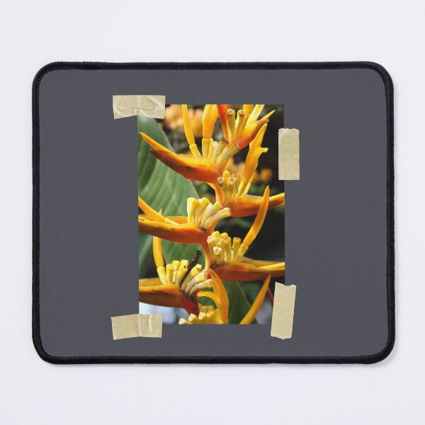 Item preview, Masking Tape, Tropical Plant designed and sold by suekieper.