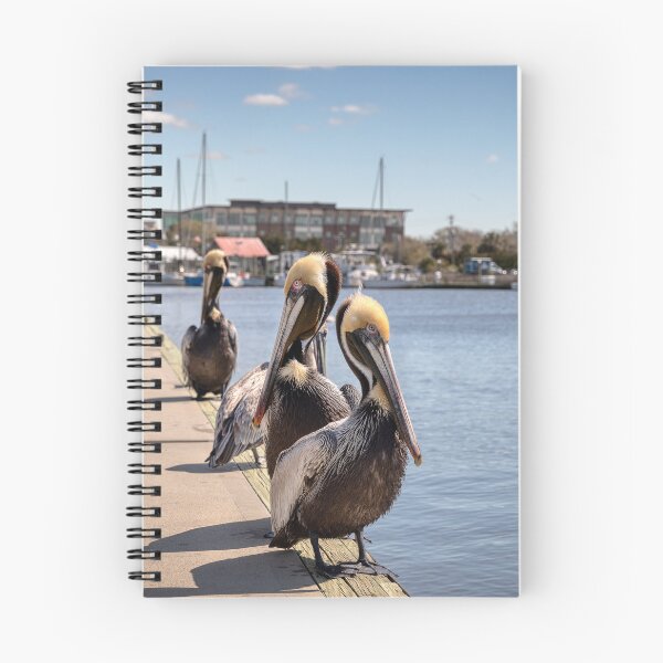 Item preview, Shem Creek Pelicans | Mt. Pleasant | Charleston, South Carolina designed and sold by 9BPRCP.