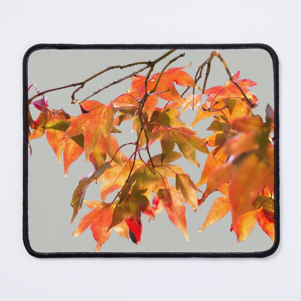 Item preview, Golden autumn leaves designed and sold by indiafrankk.
