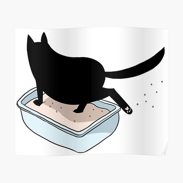 "Black Cat in Litter Box" Poster for Sale by mfarmand Redbubble