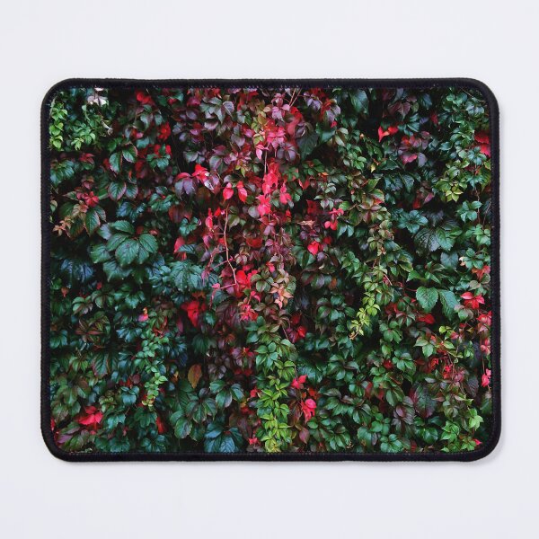 Item preview, Miss Ivy designed and sold by Della Enniss.