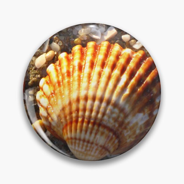 Item preview, Sunlit Shell & Fragments #2 designed and sold by Marilyn Harris.
