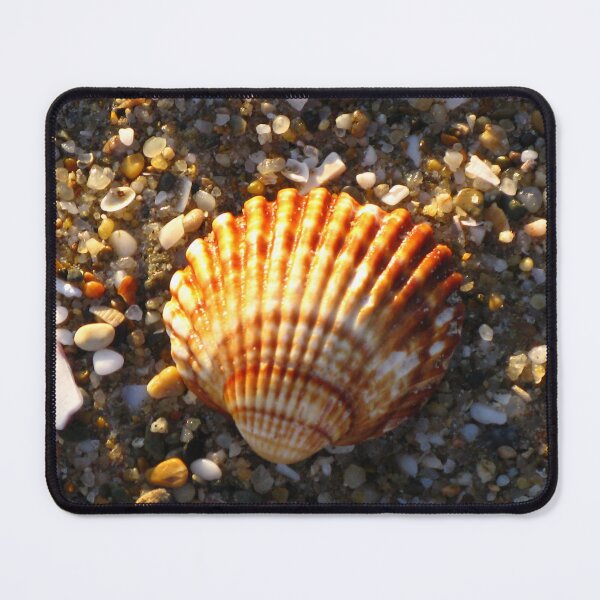 Item preview, Sunlit Shell & Fragments #2 designed and sold by Marilyn Harris.