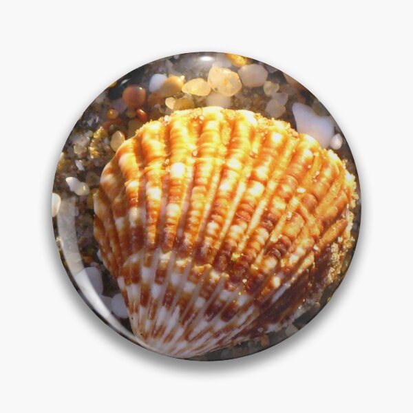 Item preview, Sunlit Shell & Fragments #1 designed and sold by Marilyn Harris.