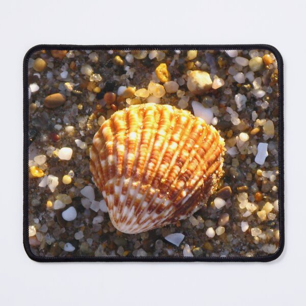 Item preview, Sunlit Shell & Fragments #1 designed and sold by Marilyn Harris.