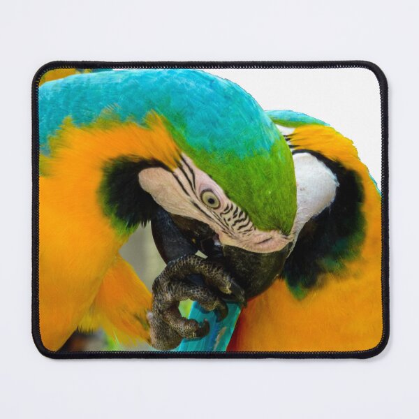 Item preview, Macaws designed and sold by indiafrankk.