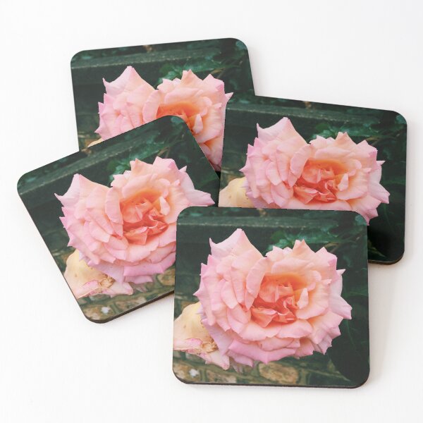 Item preview, Pink Rose, Primrose Hill, London, Summer designed and sold by Sunfleur-Studio.