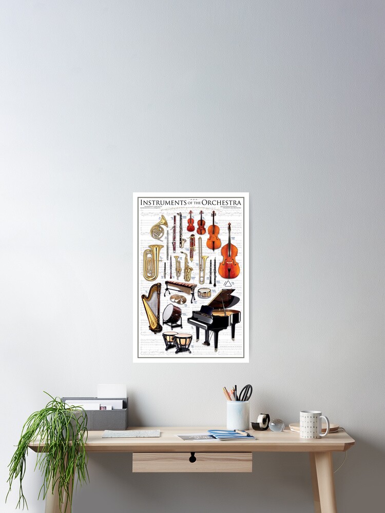 Instruments Of The Orchestra Poster Poster