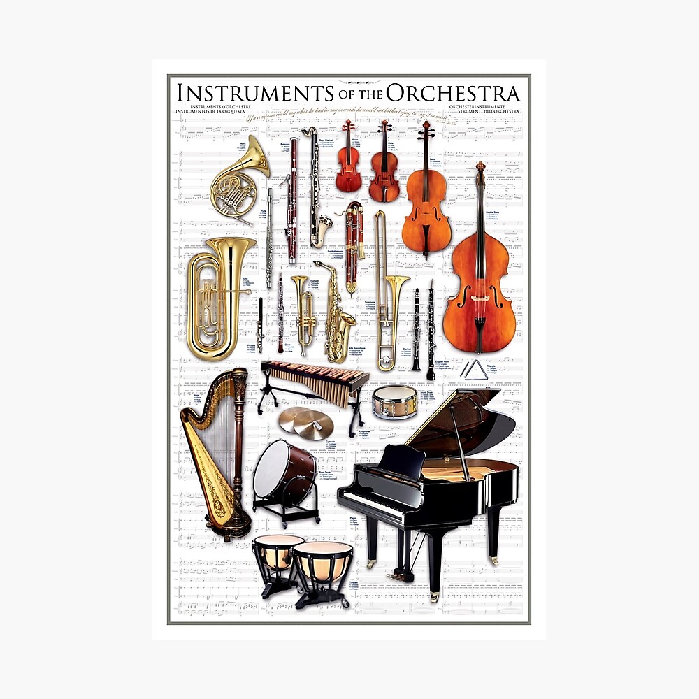 Instruments Of The Orchestra Poster Poster