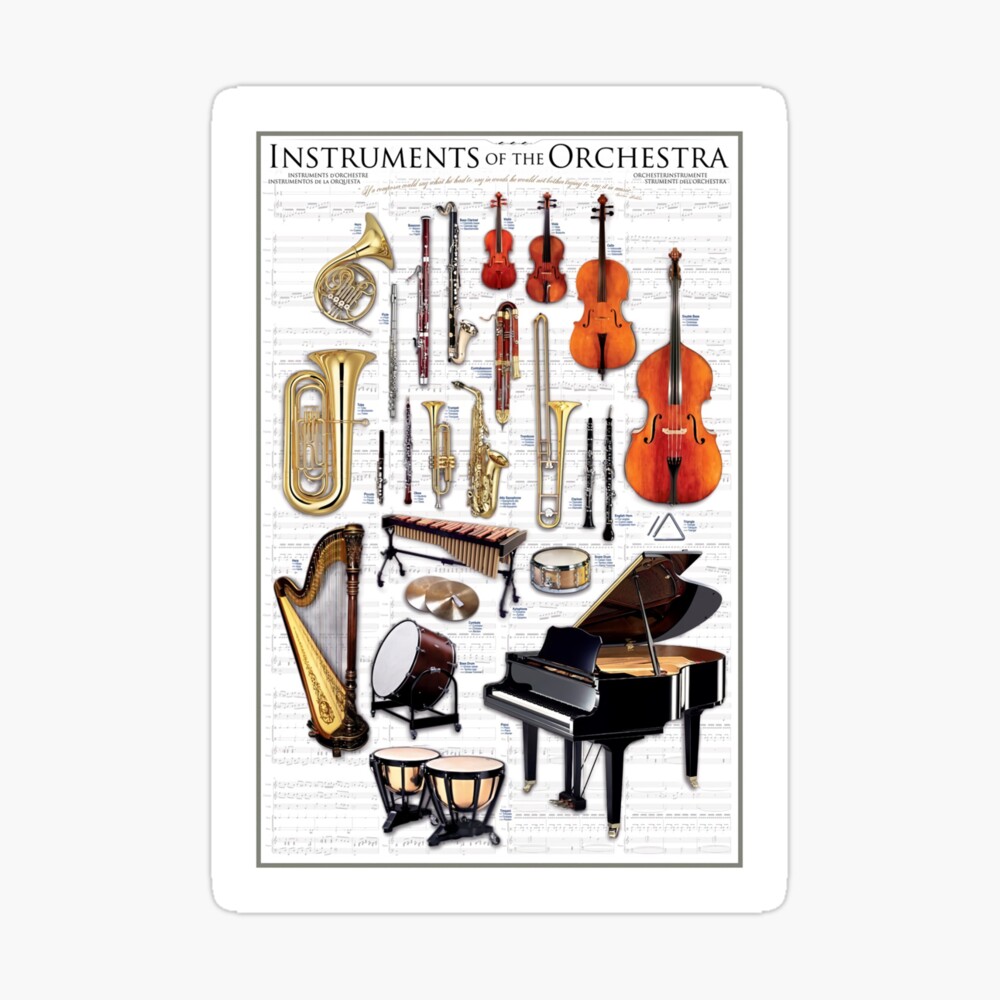 Instruments Of The Orchestra Poster Poster
