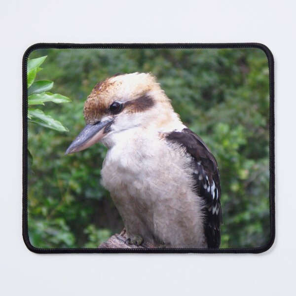 Item preview, Kookaburra (Dacelo novaeguineae) designed and sold by Marilyn Harris.