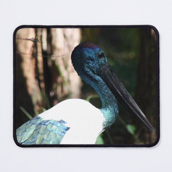 Item preview, Jabiru or Black-necked Stork designed and sold by Marilyn Harris.