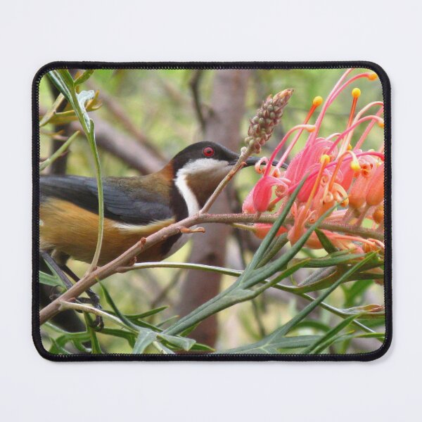 Item preview, Eastern Spinebill amongst Grevillea designed and sold by Marilyn Harris.