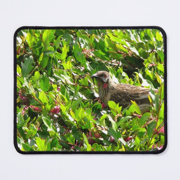 Item preview, Wattlebird amongst Grevillea designed and sold by Marilyn Harris.