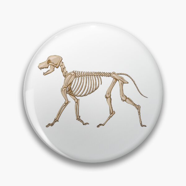 Item preview, Dog Skeleton  designed and sold by CMS-artworks.