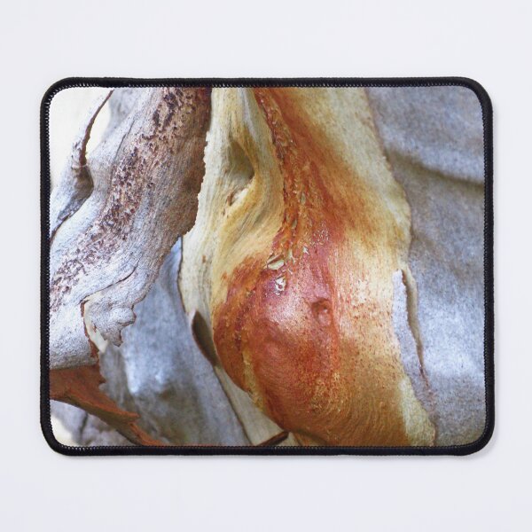 Item preview, Sculpture in Bark - Abstract from Nature designed and sold by Marilyn Harris.