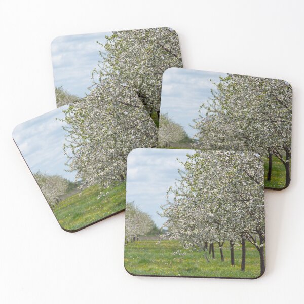 Item preview, Blossom Time designed and sold by TeresaYoung9.