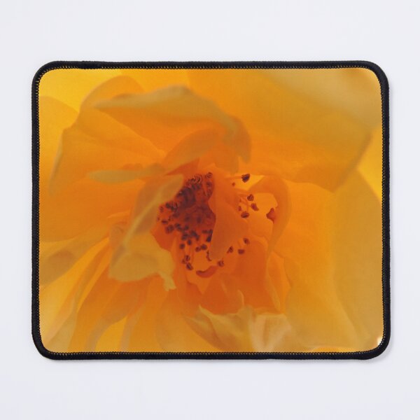 Item preview, Inner Glow of a Yellow English Rose - "Graham Thomas" designed and sold by Marilyn Harris.