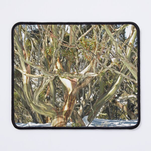 Item preview, Colours of an entwined Snow Gum designed and sold by Marilyn Harris.