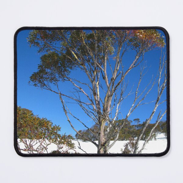Item preview, Snow Gum - Kosciuszko National Park designed and sold by Marilyn Harris.