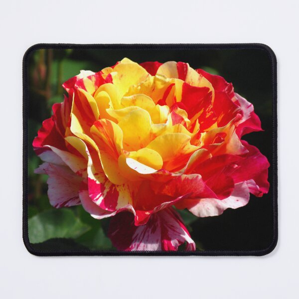 Item preview, Maurice Utrillo Rose #2 designed and sold by Marilyn Harris.