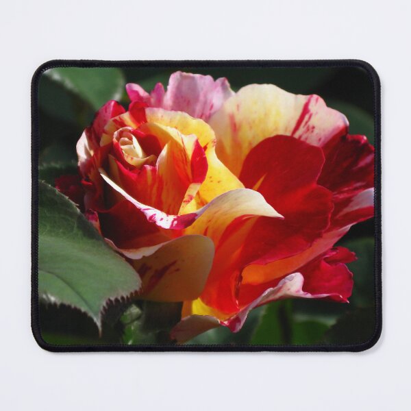 Item preview, Maurice Utrillo Rose #1 designed and sold by Marilyn Harris.