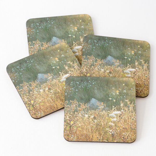 Item preview, Sunny wildflowers designed and sold by Photos-by-Eddie.