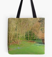 Picnic site Tote Bag