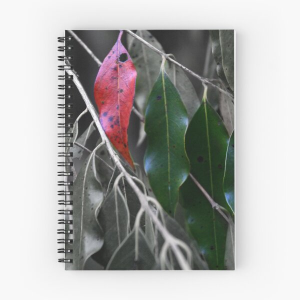 Item preview, Leaves, Kheo Yai National Park designed and sold by indiafrankk.