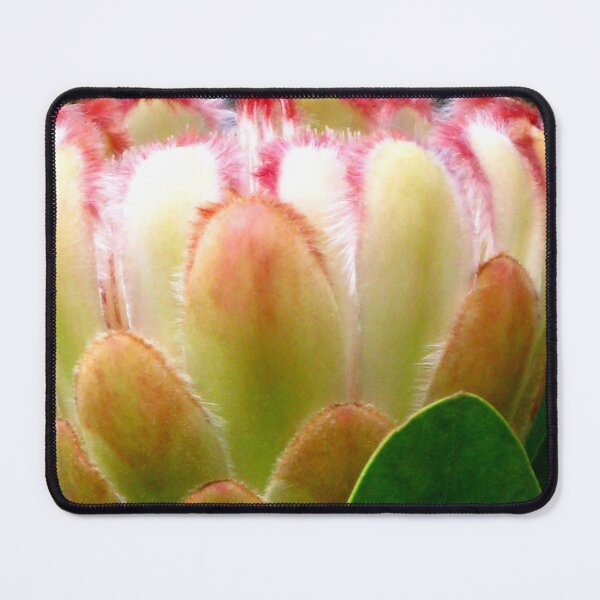 Item preview, Australian Protea designed and sold by Marilyn Harris.