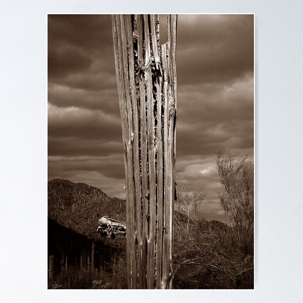 Item preview, Ribs designed and sold by Wilson Wyatt  Photography.