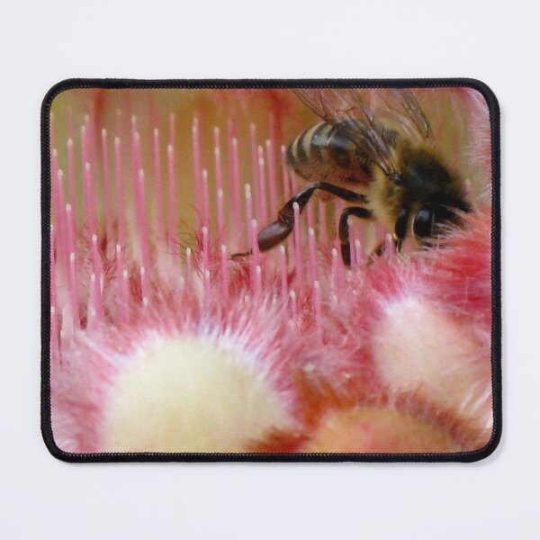 Item preview, Australian Protea and the Busy Bee designed and sold by Marilyn Harris.