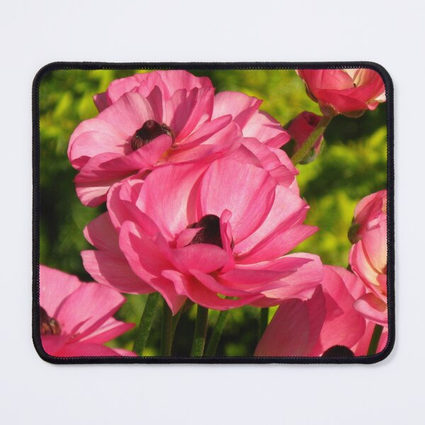 Item preview, Pink Ranunculus #1 designed and sold by Marilyn Harris.