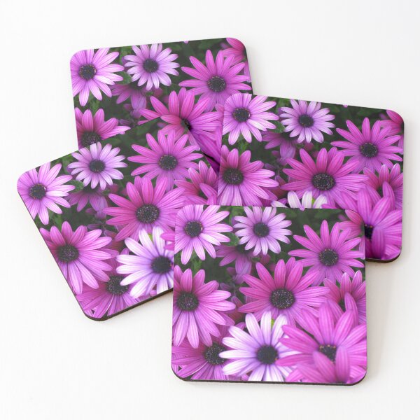 Item preview, African Daisies (Osteospermum) designed and sold by Marilyn Harris.