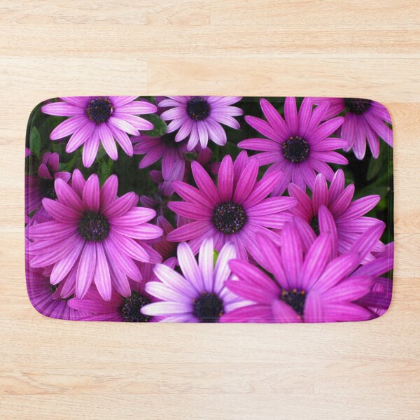 Item preview, African Daisies (Osteospermum) designed and sold by Marilyn Harris.