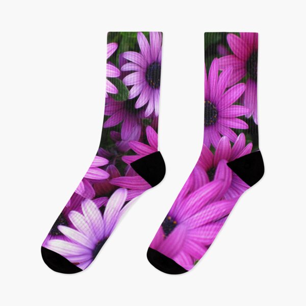 Item preview, African Daisies (Osteospermum) designed and sold by Marilyn Harris.