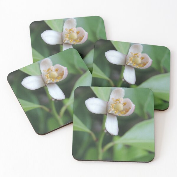 Item preview, Eureka Lemon Blossom designed and sold by Marilyn Harris.