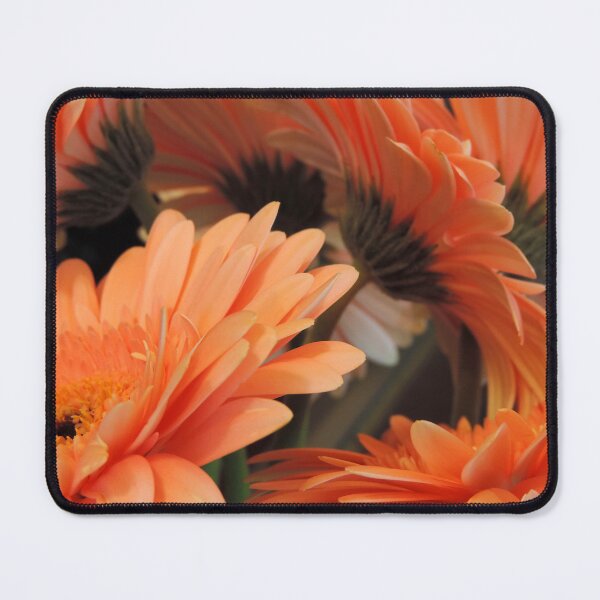 Item preview, Apricot Gerberas #2 designed and sold by Marilyn Harris.