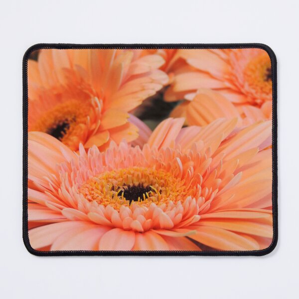 Item preview, Apricot Gerberas #1 designed and sold by Marilyn Harris.