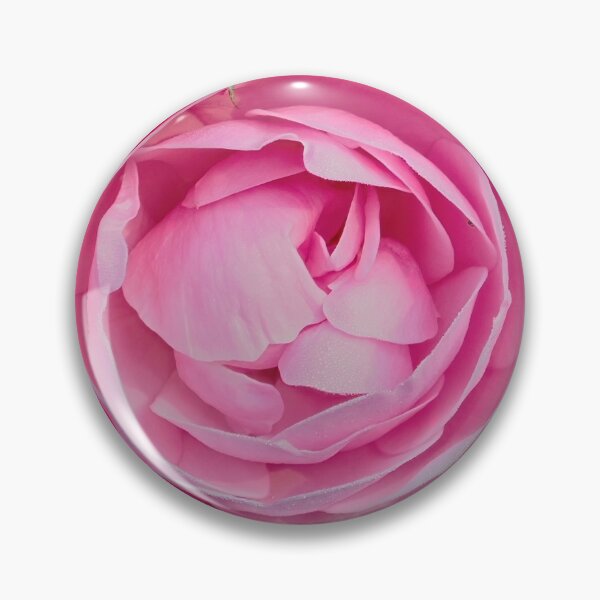 Item preview, Rose Hans Gunewein designed and sold by Jouko Lehto Photography.