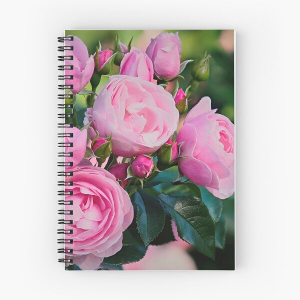 Item preview, Rose Hans Gunewein designed and sold by Jouko Lehto Photography.