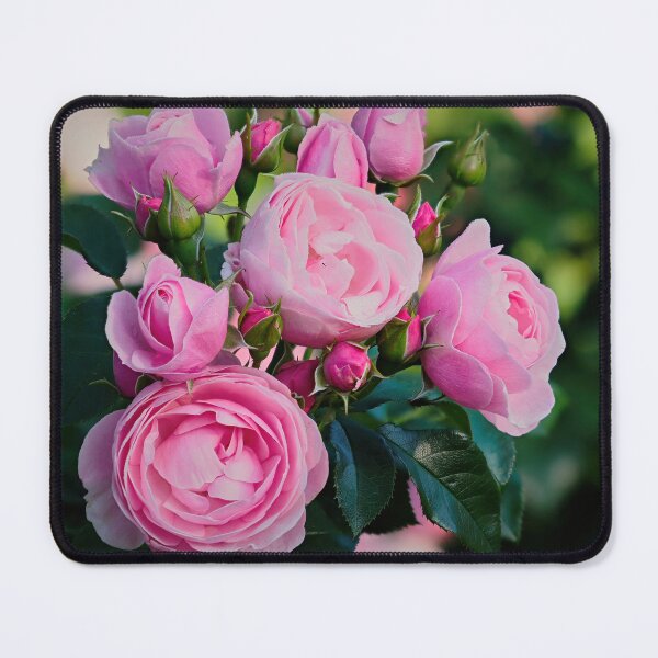 Item preview, Rose Hans Gunewein designed and sold by Jouko Lehto Photography.