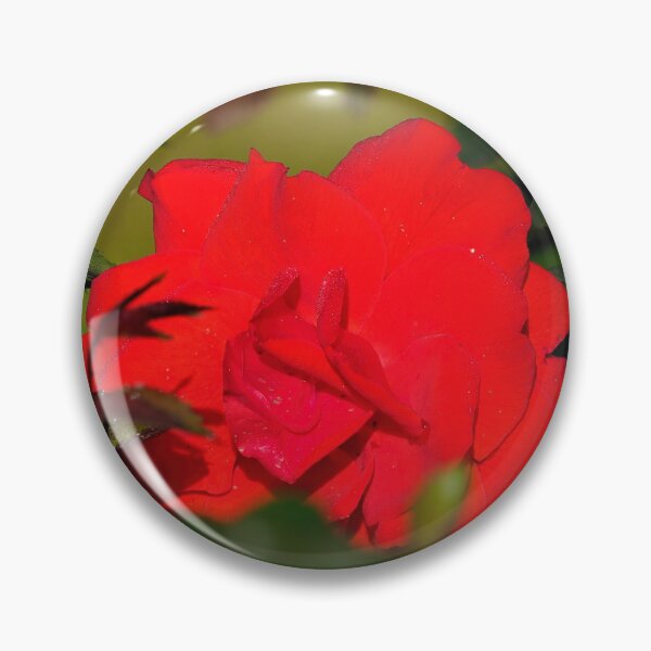 Item preview, Peeking of Brillant Korsar designed and sold by Jouko Lehto Photography.