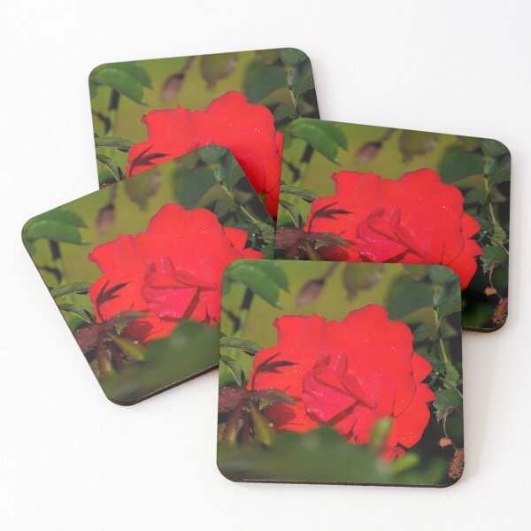Item preview, Peeking of Brillant Korsar designed and sold by Jouko Lehto Photography.